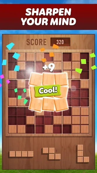 Woody 99 - Sudoku Block Puzzle (Вуди 99)  [МОД Меню] Screenshot 1