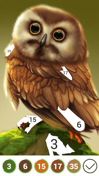 Hola Color--Coloring by Number (ола калор)  [МОД Много монет] Screenshot 3