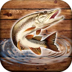 Скачать взлом Fish rain: sport fishing [МОД Бесконечные монеты] на Андроид