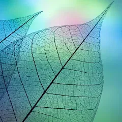 Скачать взлом 780 words (семьсот восемьдесят)  [МОД Меню] на Андроид