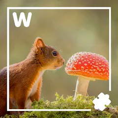 Скачать взлом 7000 words (семь тысяч) [МОД Все открыто] на Андроид