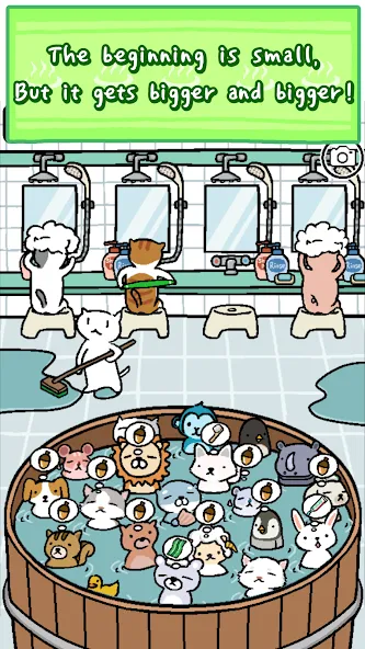 Animal Hot Springs  [МОД Бесконечные монеты] Screenshot 2